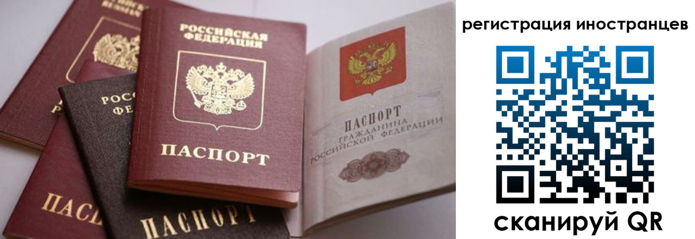 прописка штамп в Кохме