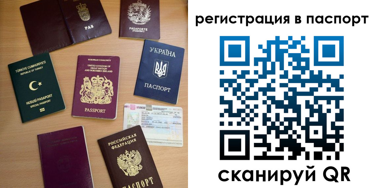 прописка поиск в Кохме